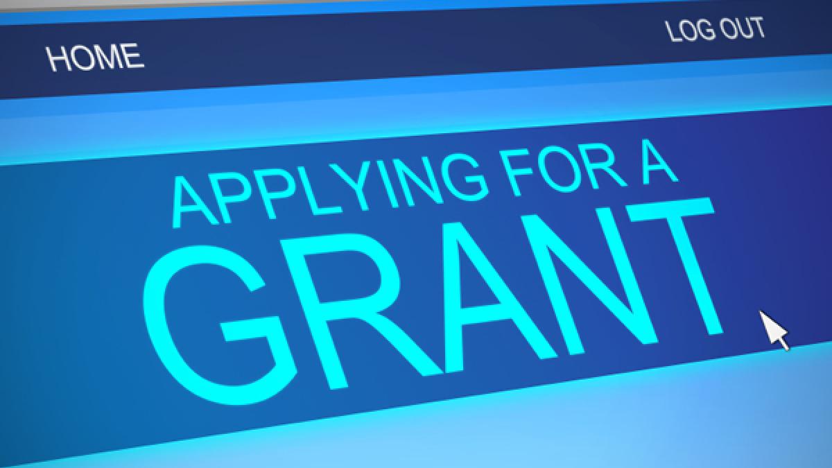 Computer screen applying for a Grant