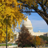 Capitol in the fall